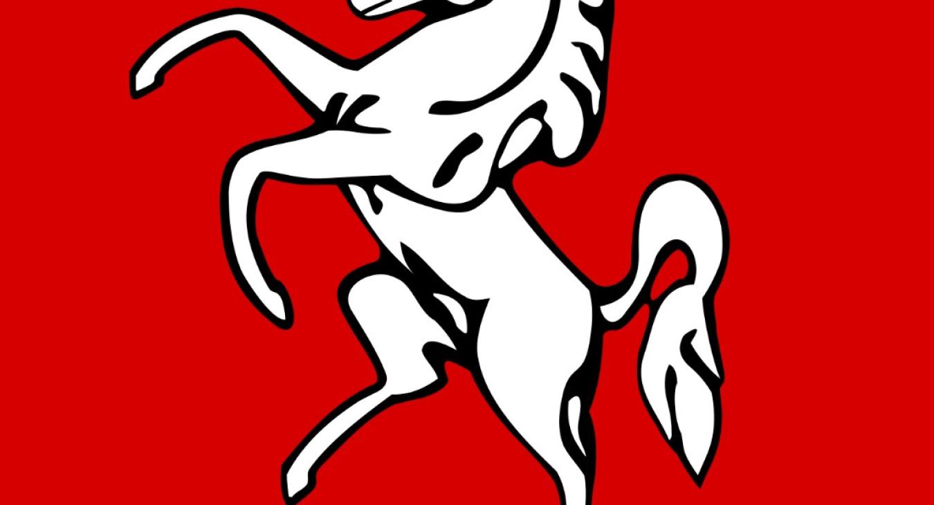 electrician shows the invicta horse depicted on the flag of kent