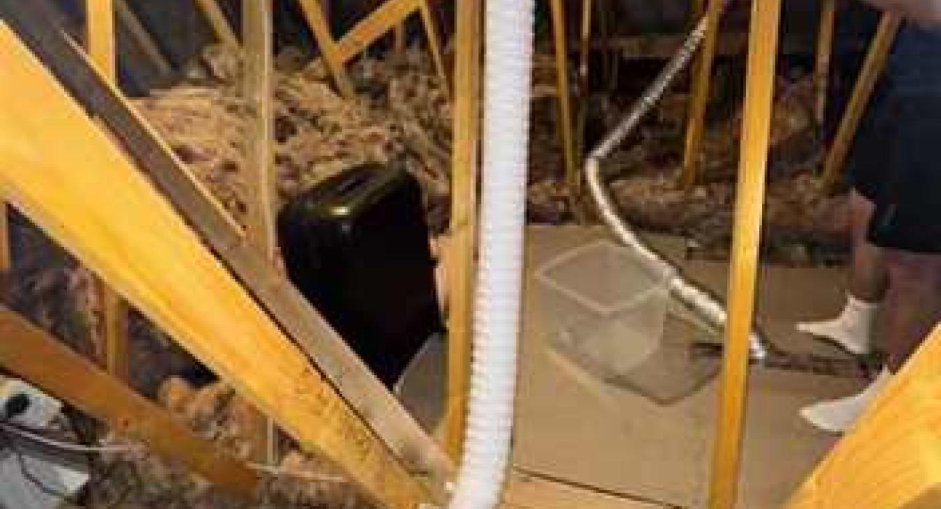 Quite a bad example of an extractor fan installation. The mode of fan, poor ducting, and significant vertical rise almost certainly will cause condensation to drip in the winter