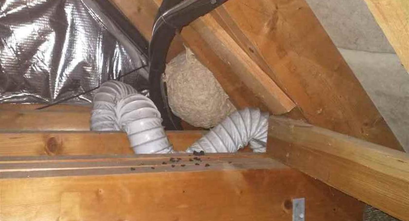 An extractor fan system we captured whilst reporting a basketball sized wasp next to the client in Bearsted, Maidstone